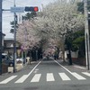 世田谷区成城🌸(砧・祖師ヶ谷・仙川・喜多見など)情報共有ルーム🌸