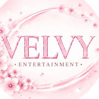 VELVY ENTERTAINMENT Audition Ss2💜✨