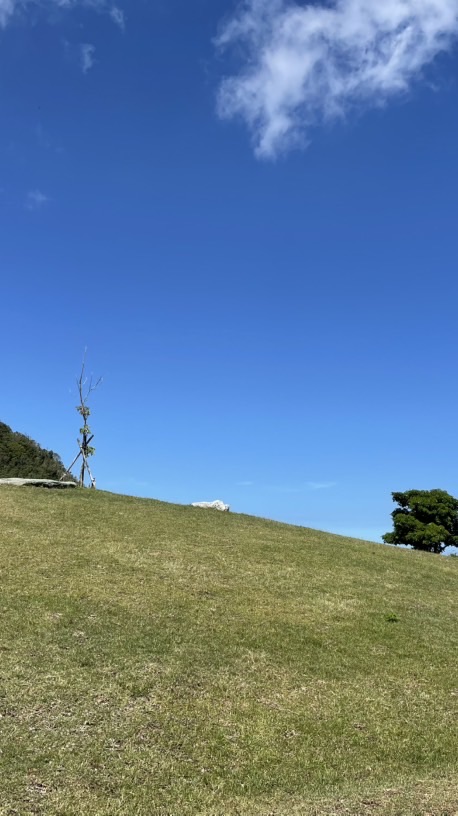 揪揪閒人
