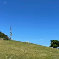 揪揪閒人