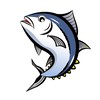 【愛媛】釣りビト★［みんなの釣果情報 / 海釣り / 川釣り / バス釣り ］
