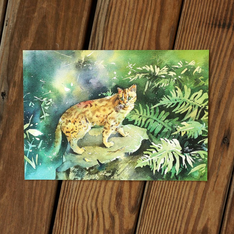 雙面印刷 內容：明信片 / 1張 材質：240P 奇美紙 尺寸：14.8 x 10.5 cm ＊每張明信片皆附透明袋包裝