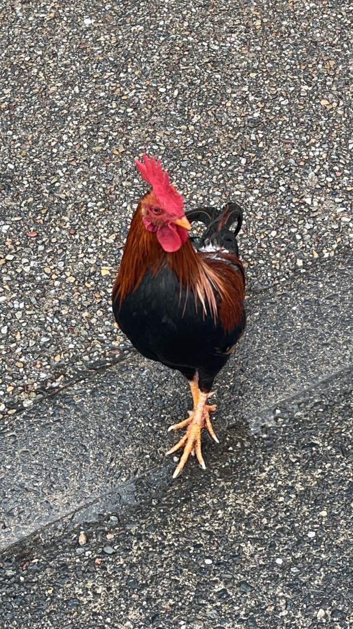 ぽかぽか交流会