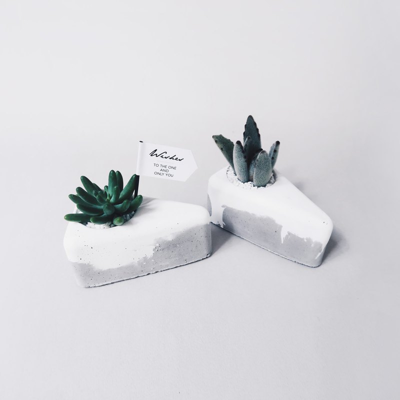 運用雙色水泥創造蛋糕的層次，製造滿滿鮮奶油的感覺，搭配療癒的仙人掌或多肉植物，就像可口的切塊蛋糕，讓自己創造一個可愛的蛋糕盆栽吧！ ※ 此販售僅為盆器，設計館另有客製種植的切塊蛋糕盆栽可作選購。