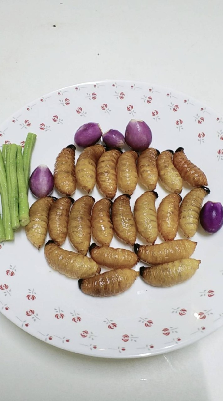 สมาคมด้วงมะพร้าวส่งออกโดยธนจินดาฟาร์ม
