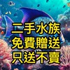 二手水族用品贈送專區 免費贈送 只送不賣專區 / 中古水族用品 / 中古魚缸 / 二手魚缸