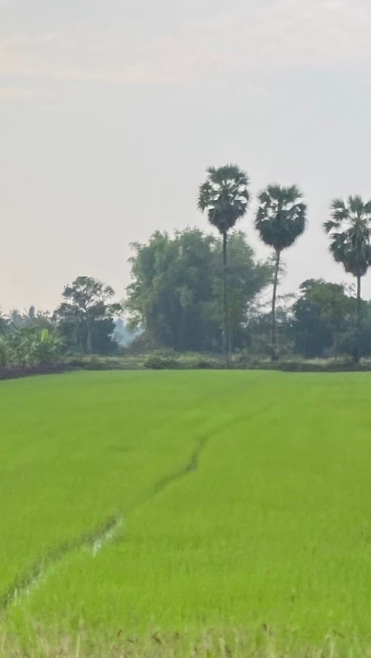 โคกมะกอก Khok Makok