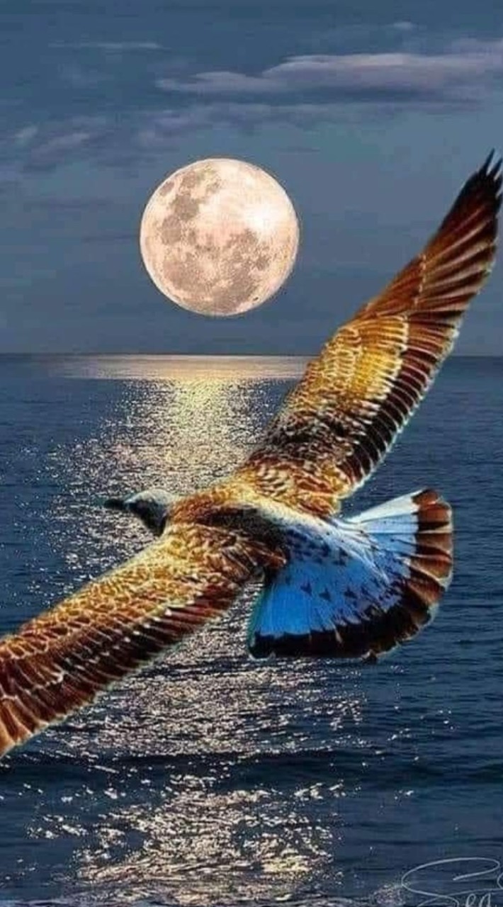 ห้องการออม  การลงทุนประกัน พันธบัตรฯ