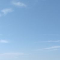🌳日日是好日🍹日常の風景🌳