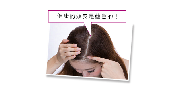 健康頭皮