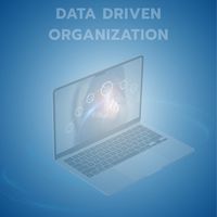 Data Driven Organization