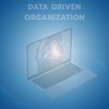 Data Driven Organization