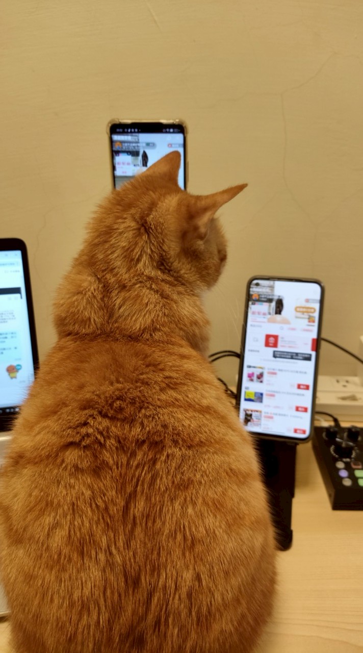 小邱直播購物分享區