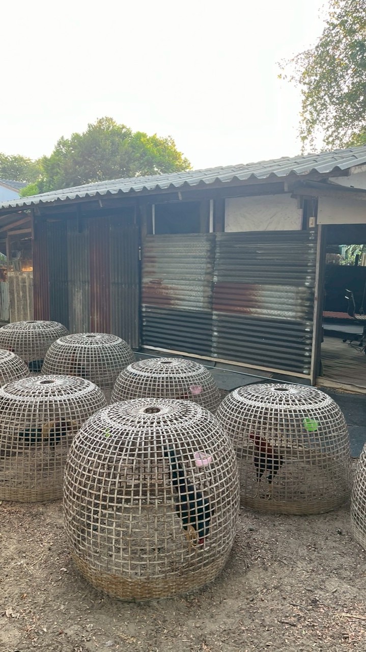 ซุ้ม คมสังกะสี (เผด็จศึก)
