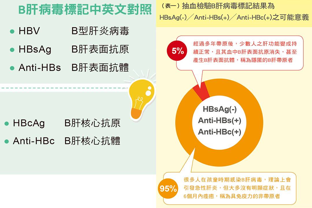 B肝帶原者也有 隱藏版 楊培銘教授詳述怎判斷 好心肝好健康 Line Today