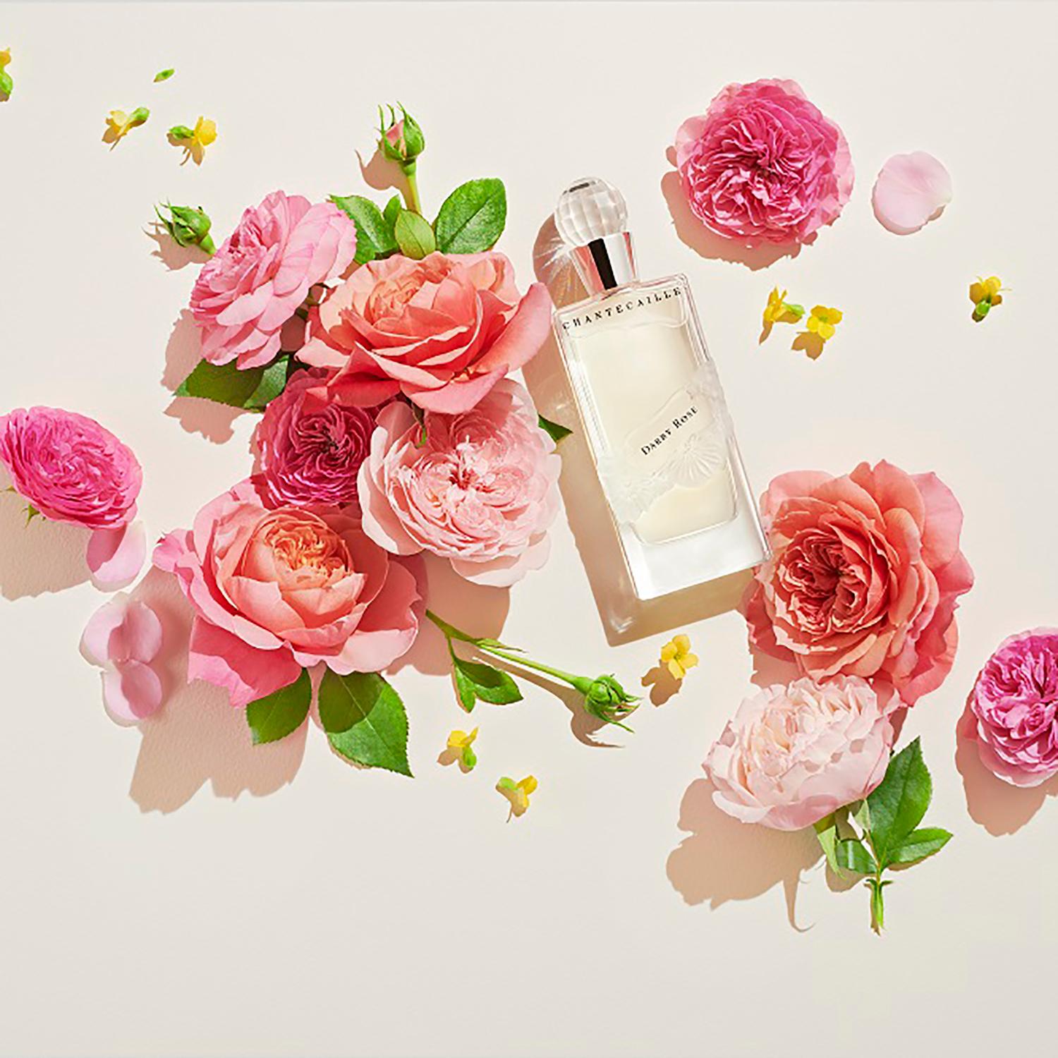 Chantecaille達比玫瑰淡香精
