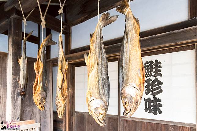 日本新潟 村上市千年鮭百年屋町裡的珍味鹽漬鮭魚 旅圖readygo Line Today