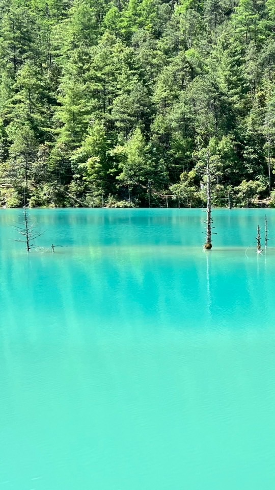 活越旅遊