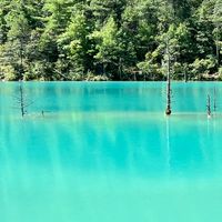 活越旅遊