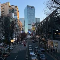 Tokyo รับหิ้ว13-20 Apr🇯🇵🫶🏽