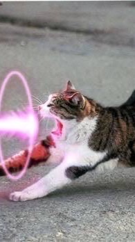 ブレインロットを盗むなどいろいろ！