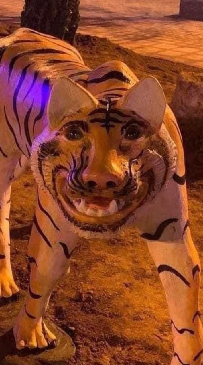 แชร์บอลม.ต้นและม.ปลาย