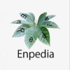 エンペディア/Enpedia