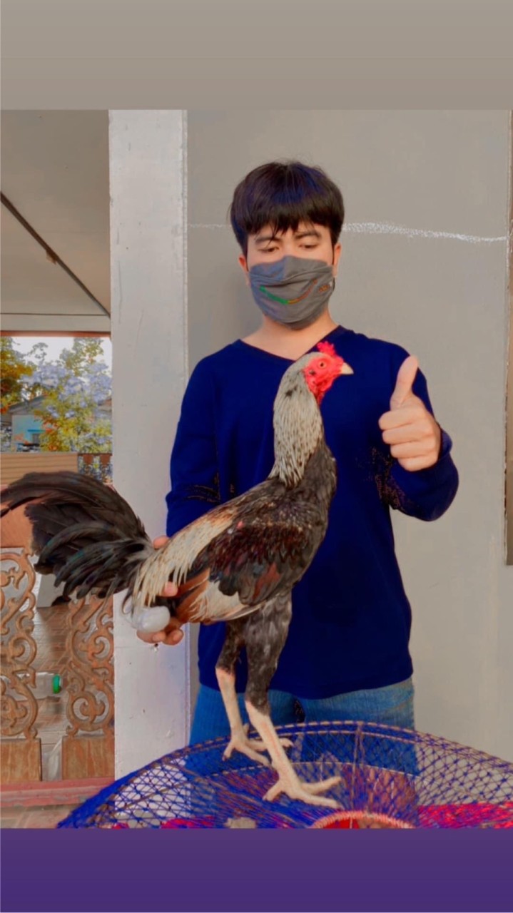 ซุ้มวินตาฟาร์ม Win TA farm