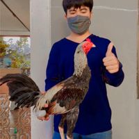ซุ้มวินตาฟาร์ม Win TA farm