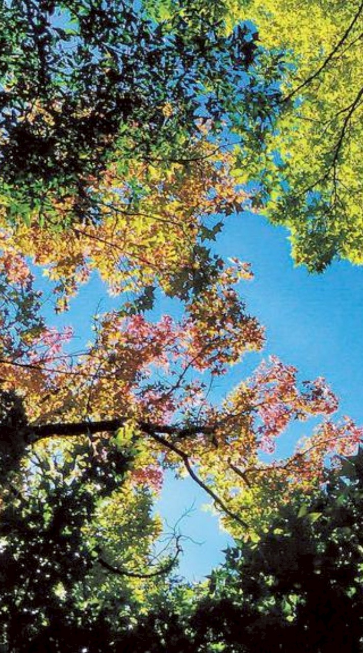 2026-環境科技實驗室群組