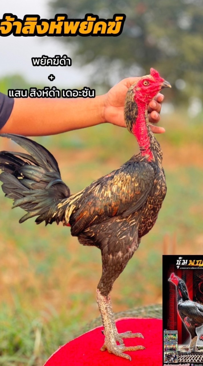 จี อา วีร์ฟาร์ม