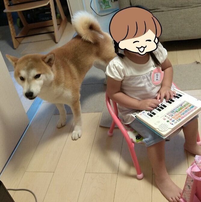 謎のセッション 異常に盛り上がるタロさんと娘