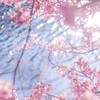 〖全也〗君は春のように優しかった