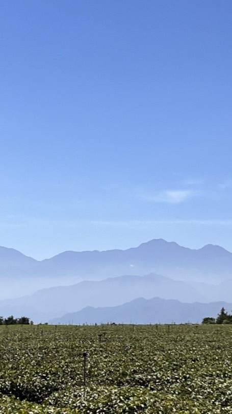 愛卿 學習