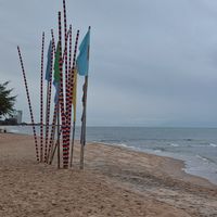 ข่าวเกษตรบางบัวทอง