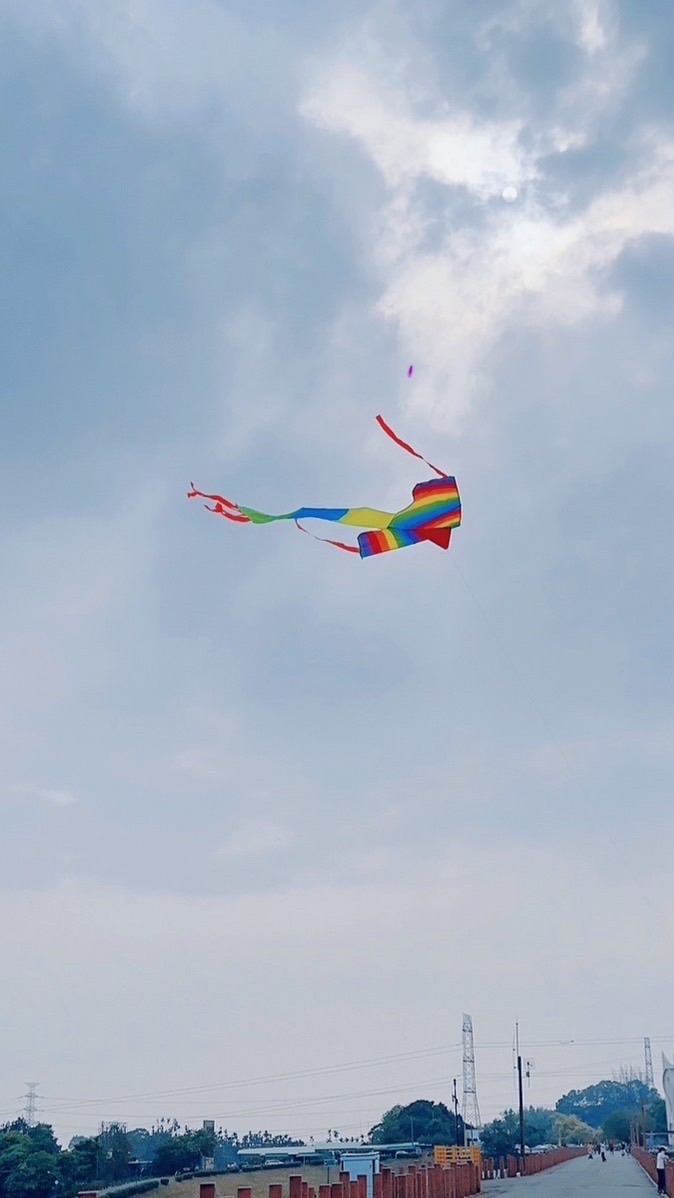 忘記了姓名的請跟我來🌈