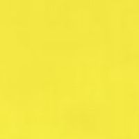 คณะ FI สีเหลือง