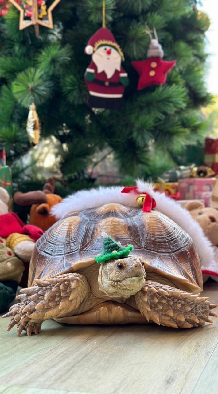 ❤️ห้ovน้ov 🐢 รดา❤️