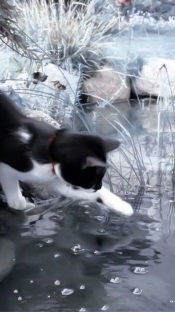 나한테는 너밖에 없어 .