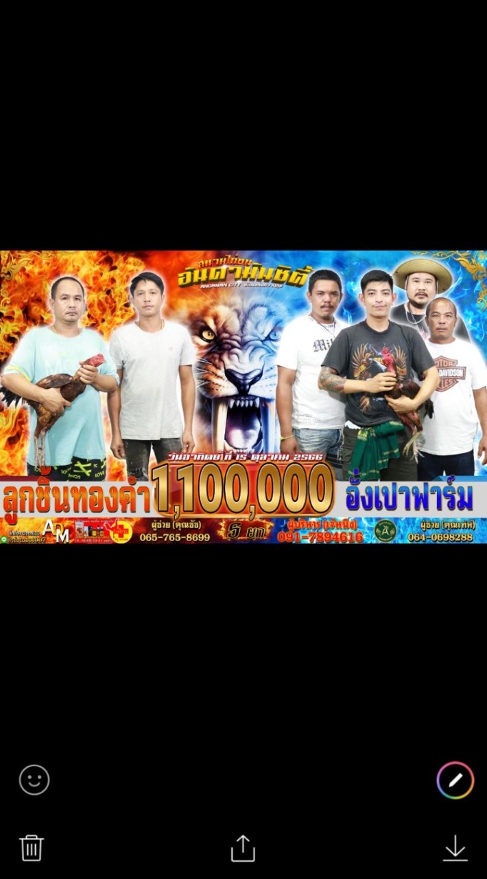 ซุ้ม ลูกชิ้นทองคำ(สายพันธุ์โกเซ้ม)