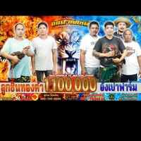 ซุ้ม ลูกชิ้นทองคำ(สายพันธุ์โกเซ้ม)