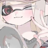《中学生以上限定》スプラオプ