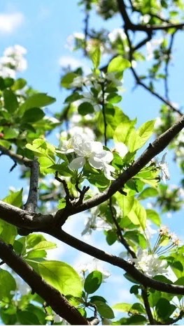 中高生の相談部屋のオープンチャット