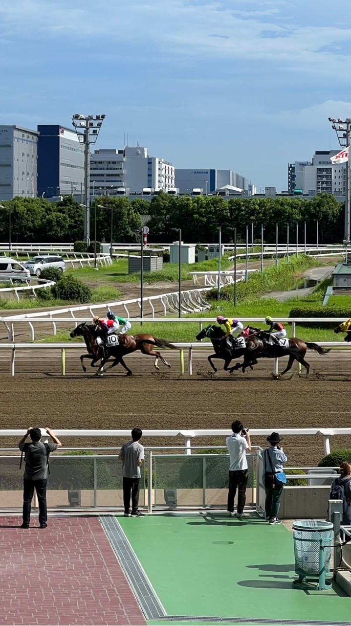 8/19日限定大井競馬オプチャ OpenChat