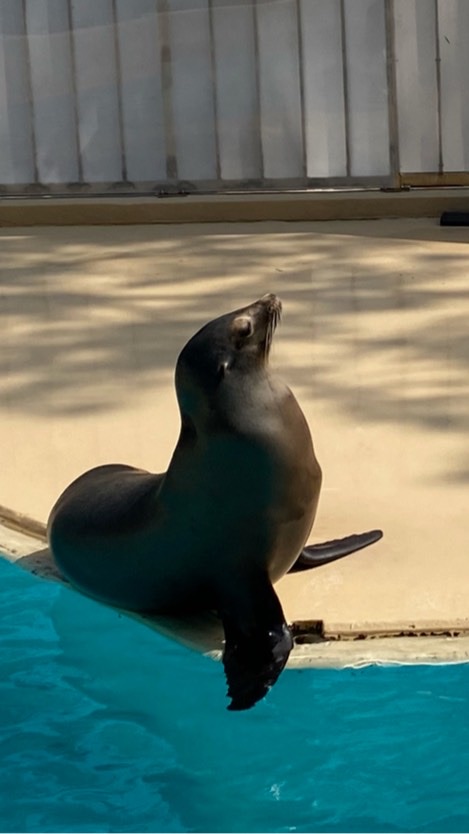 水族館飼育員を目指す人のための場🐟