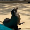 水族館飼育員を目指す人のための場🐟