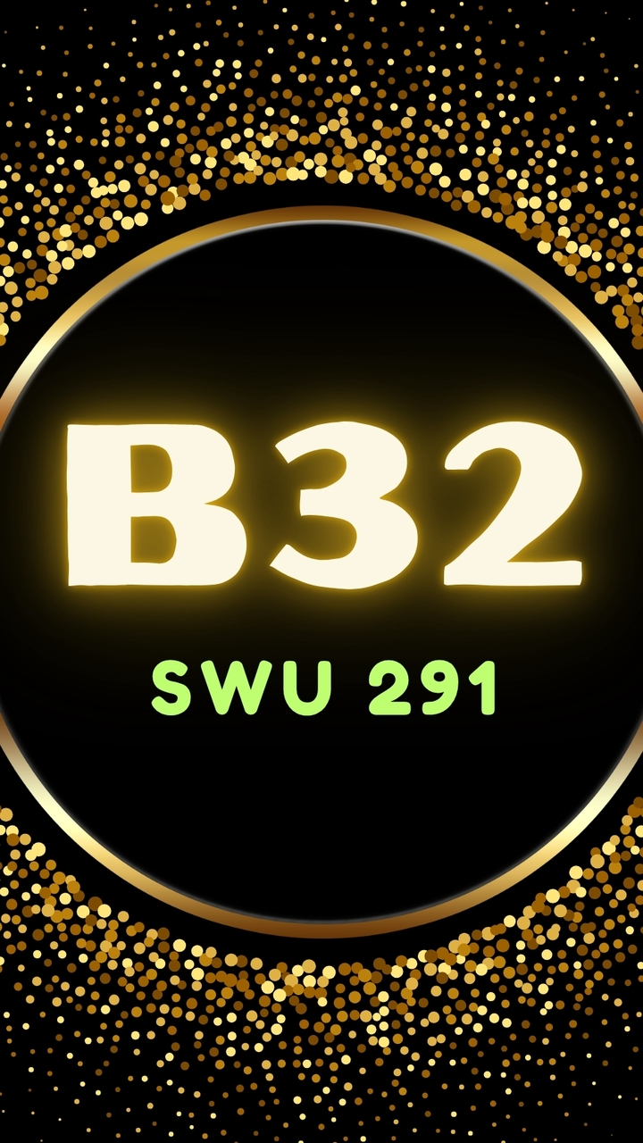 SWU 291 B32