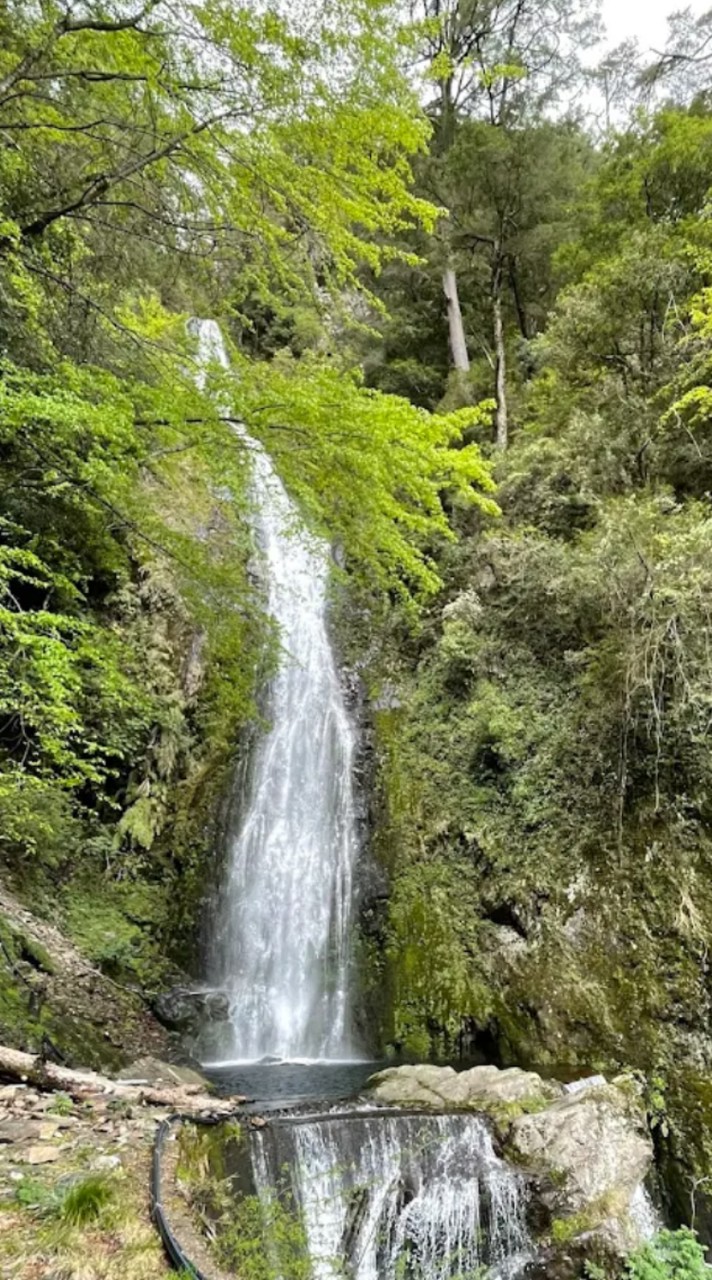 12/21星期日武陵農場-桃山瀑布步道