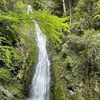 12/21星期日武陵農場-桃山瀑布步道