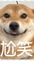 人生好難